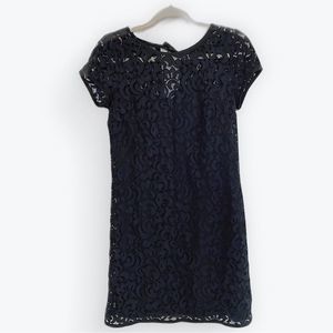 NWOT LOFT Lace Dress